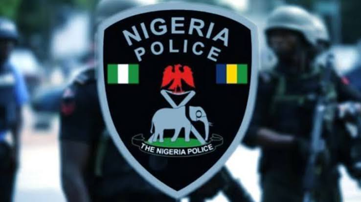 NANS Southwest Supports IGP's Anti-Illegal Firearms Directive, Urges Police to Protect Rights While Fighting Crime